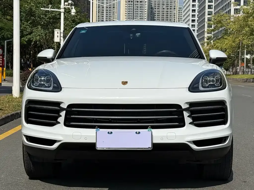 Porsche Cayenne 2022 из CN, фото 2