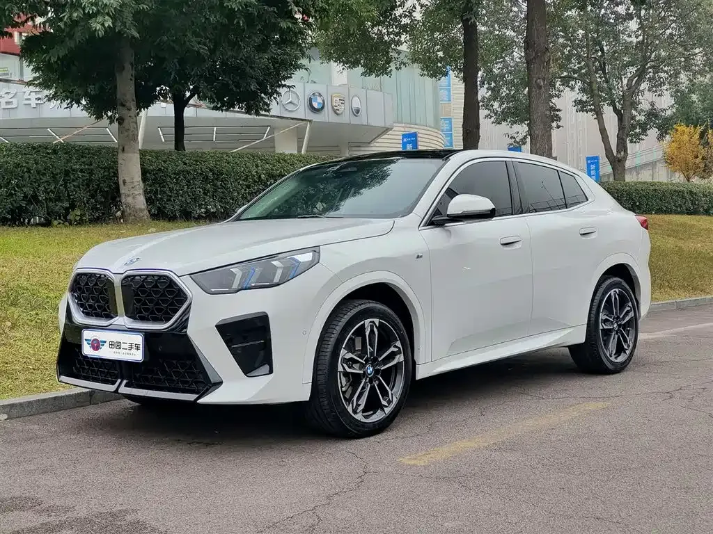 BMW X2 (Import) 2025 из CN, фото 1