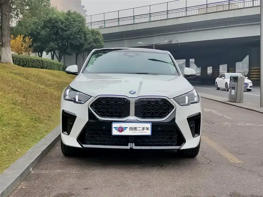 BMW X2 (Import) 2025 из CN, фото 5