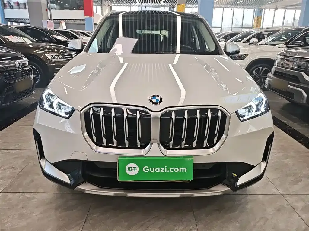 BMW X1 2023 из CN, фото 8
