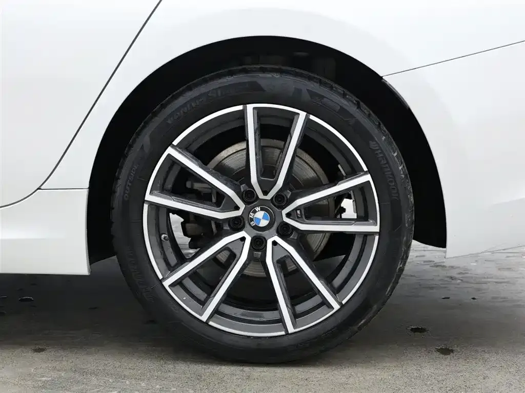BMW 3 Series 2022 из CN, фото 6