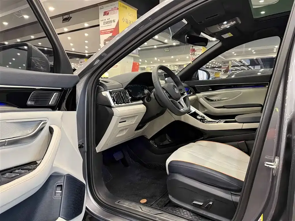 BYD PLUS New Energy 2022 из CN, фото 8