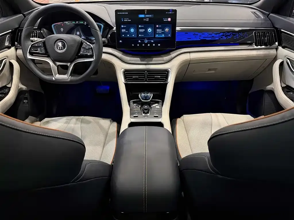 BYD PLUS New Energy 2022 из CN, фото 3
