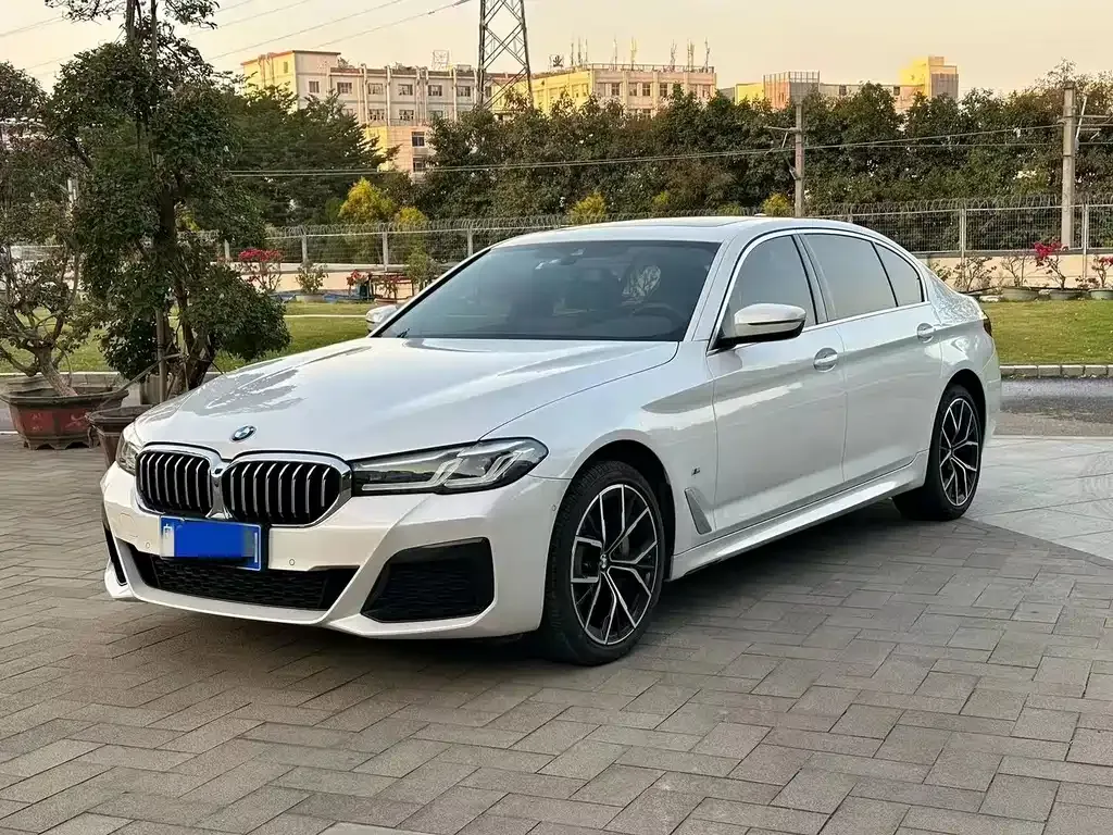BMW 5 Series 2022 из CN, фото 1