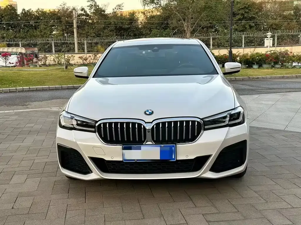 BMW 5 Series 2022 из CN, фото 6