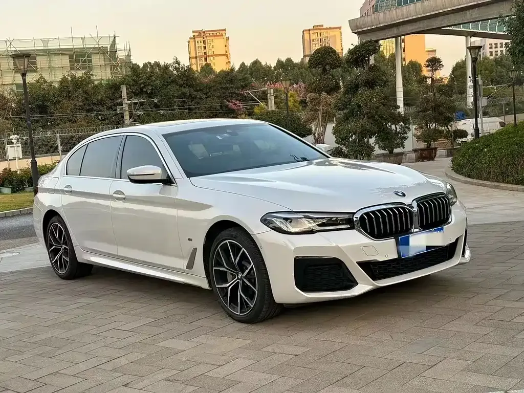 BMW 5 Series 2022 из CN, фото 4