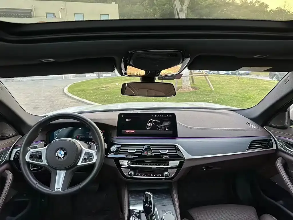 BMW 5 Series 2022 из CN, фото 7