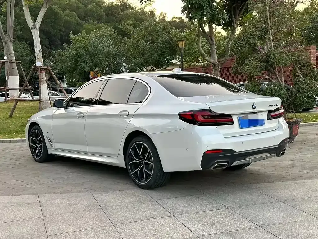 BMW 5 Series 2022 из CN, фото 10