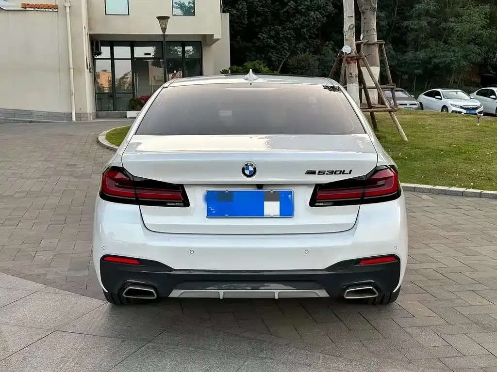 BMW 5 Series 2022 из CN, фото 2