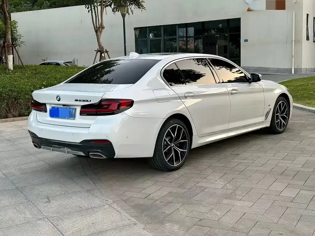 BMW 5 Series 2022 из CN, фото 8
