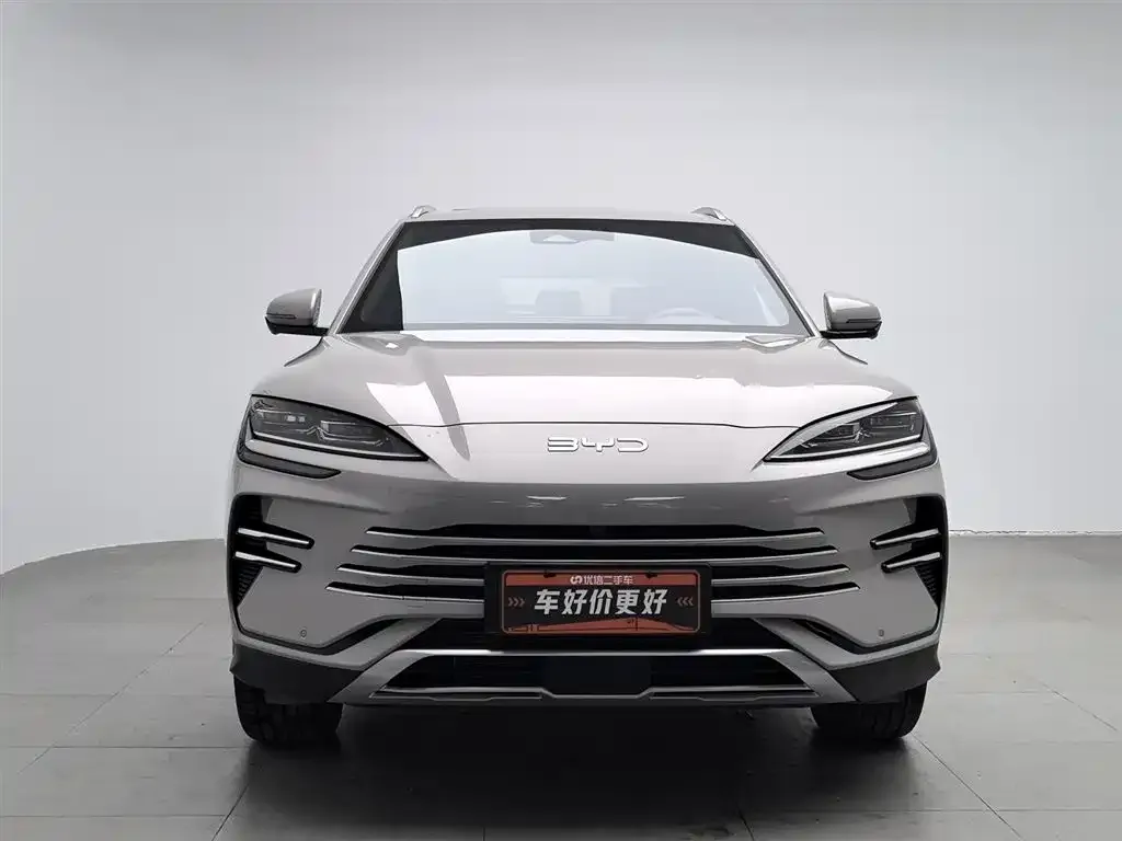 BYD PLUS New Energy 2024 из CN, фото 6