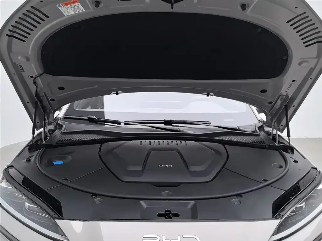 BYD PLUS New Energy 2024 из CN, фото 10
