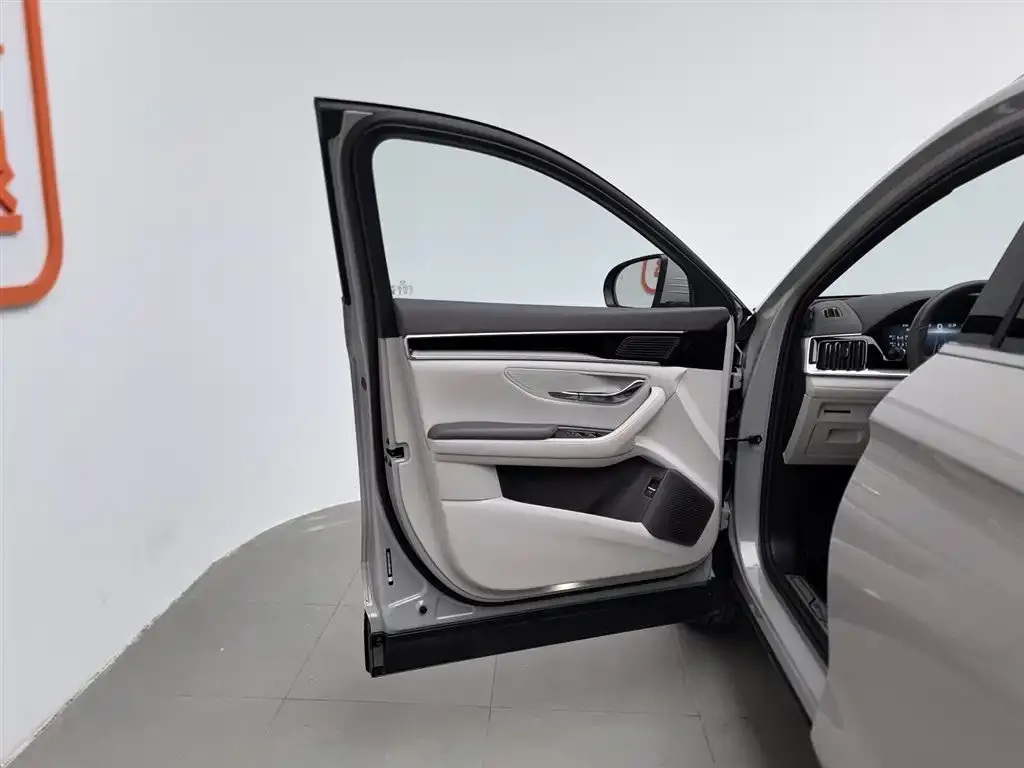 BYD PLUS New Energy 2024 из CN, фото 4