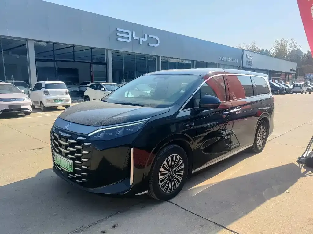 BYD Xia 2025 из CN, фото 1