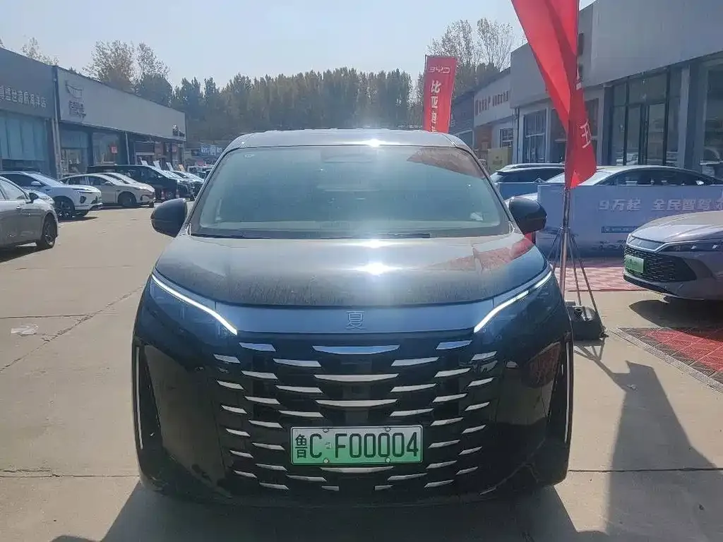 BYD Xia 2025 из CN, фото 5