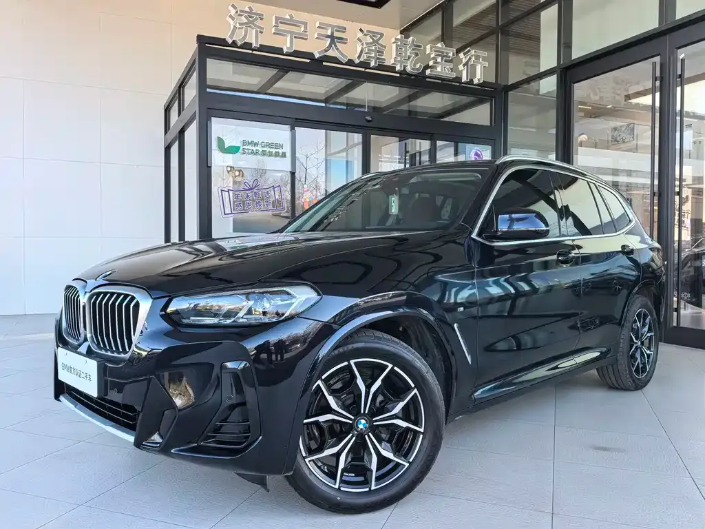 BMW X3 — фото 1