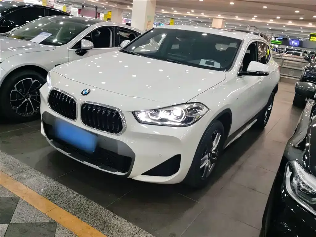 BMW X2 2021 из CN, фото 1