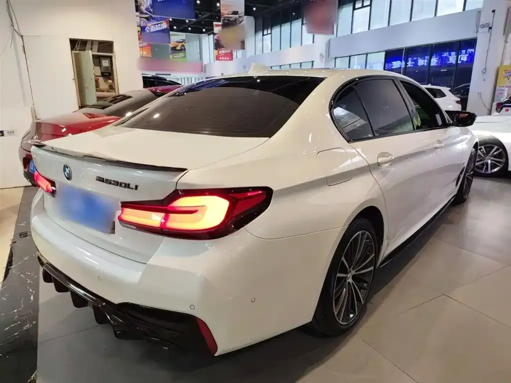 BMW 5 Series 2023 из CN, фото 5