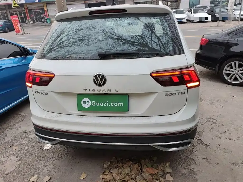 Volkswagen Tiguan L 2023 из CN, фото 10