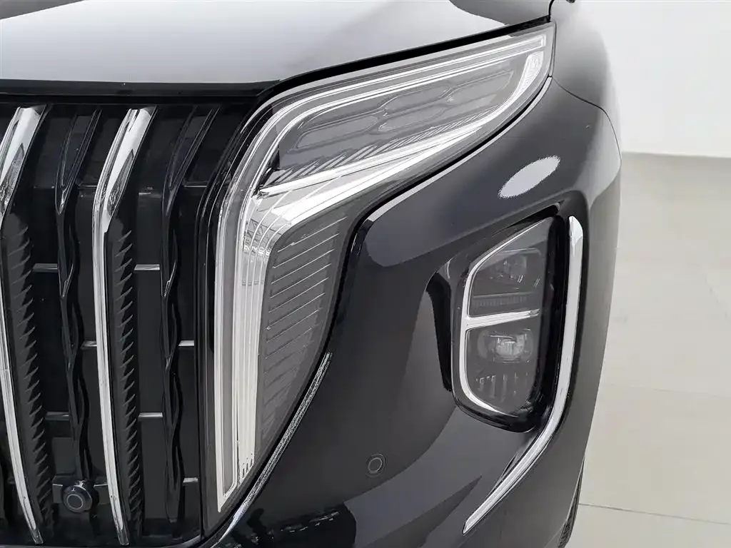 Hongqi HS7 PHEV 2024 из CN, фото 7