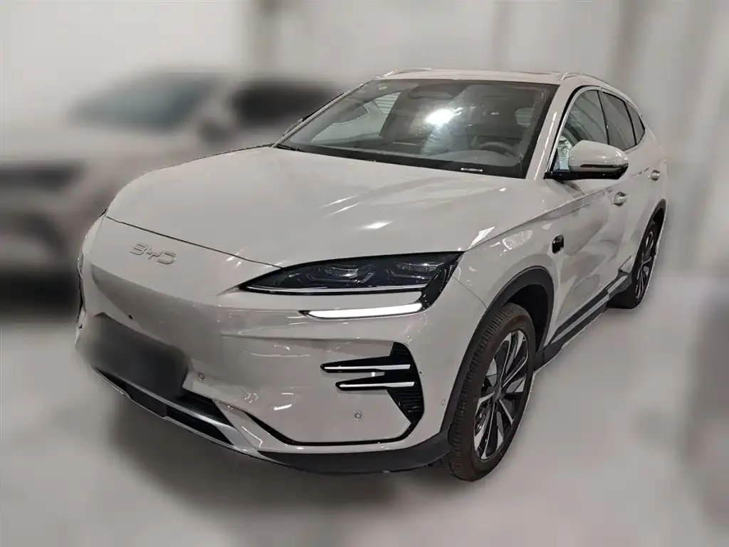 BYD PLUS New Energy 2025 из CN, фото 3
