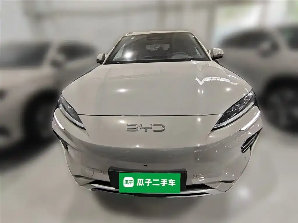 BYD PLUS New Energy 2025 из CN, фото 5