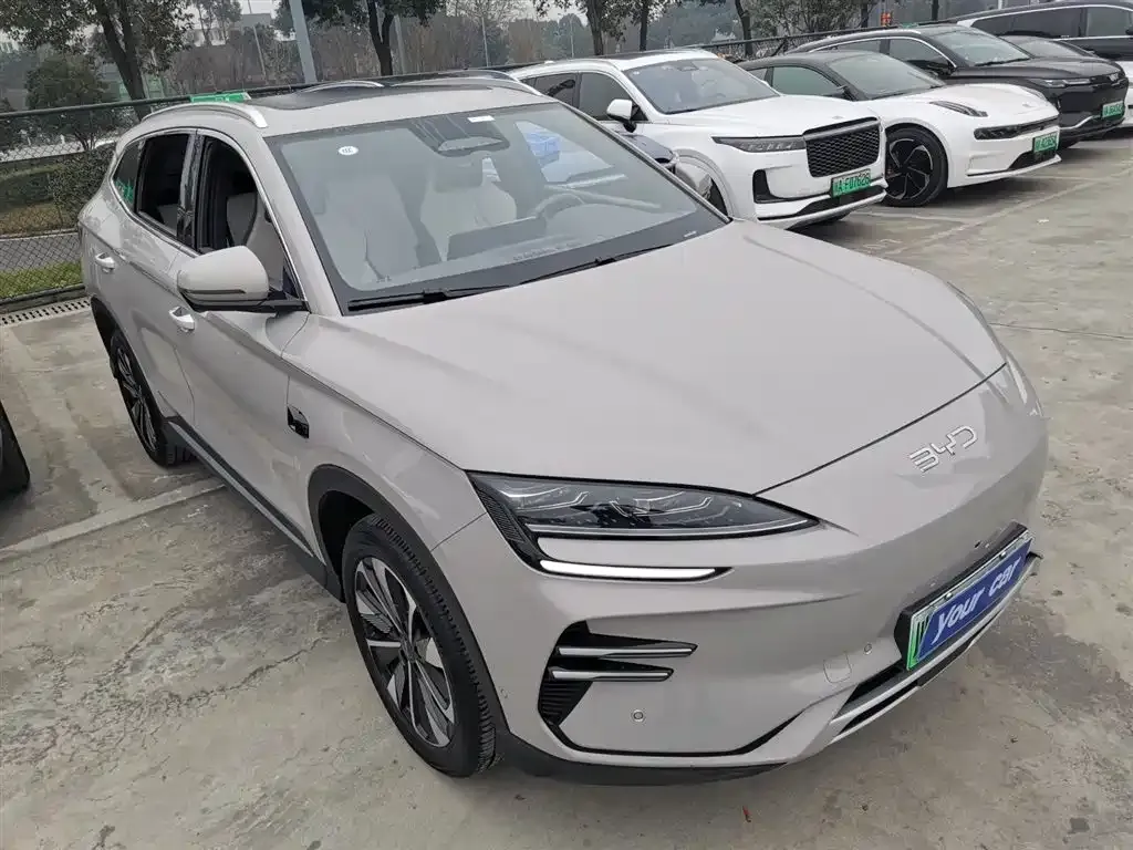 BYD PLUS New Energy 2025 из CN, фото 6