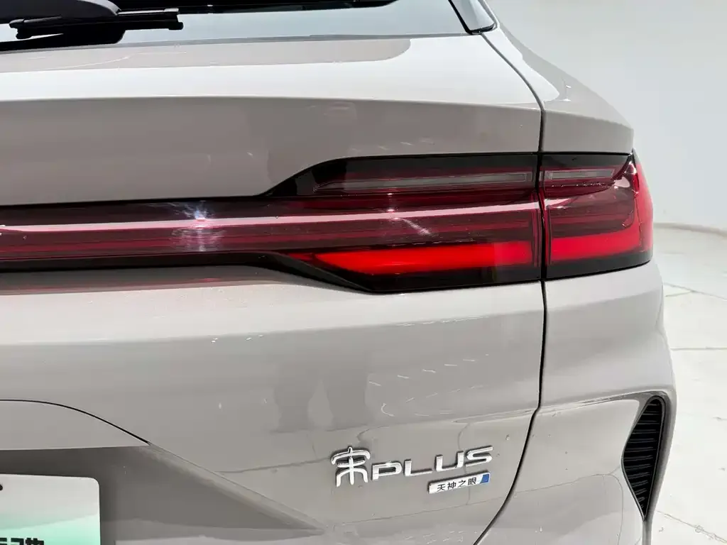 BYD PLUS New Energy 2025 из CN, фото 6