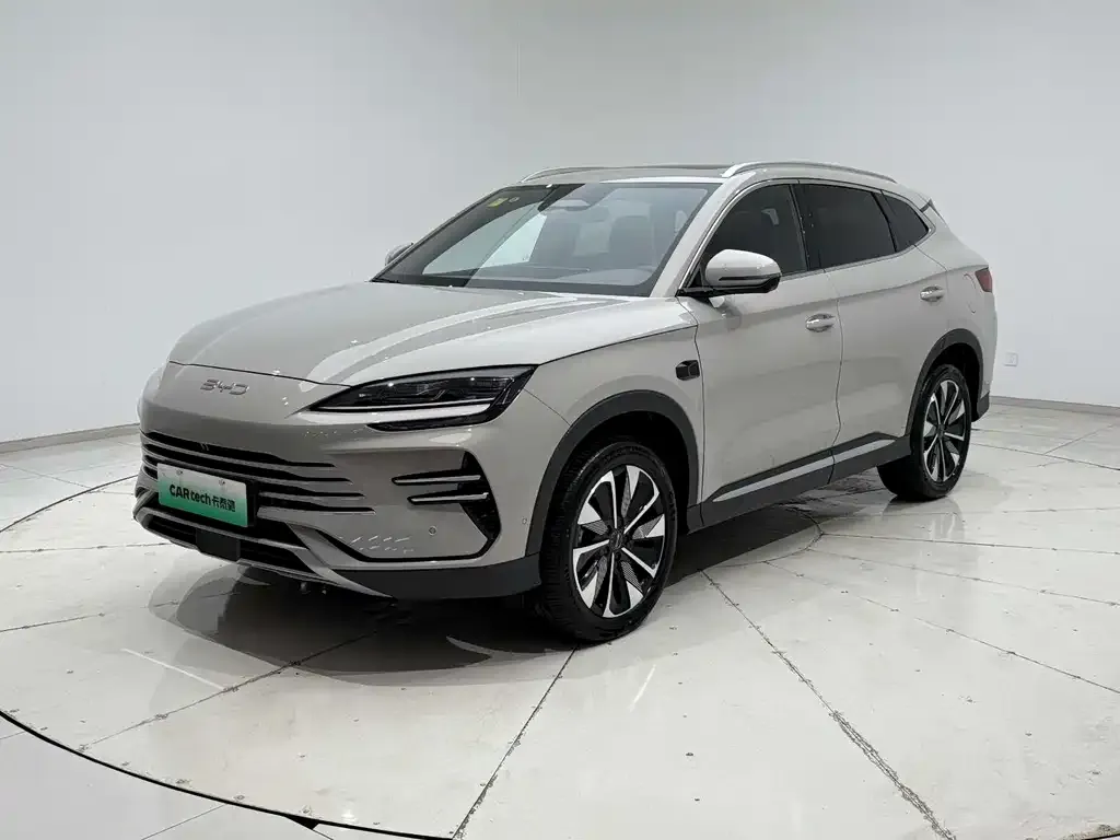 BYD PLUS New Energy 2025 из CN, фото 4