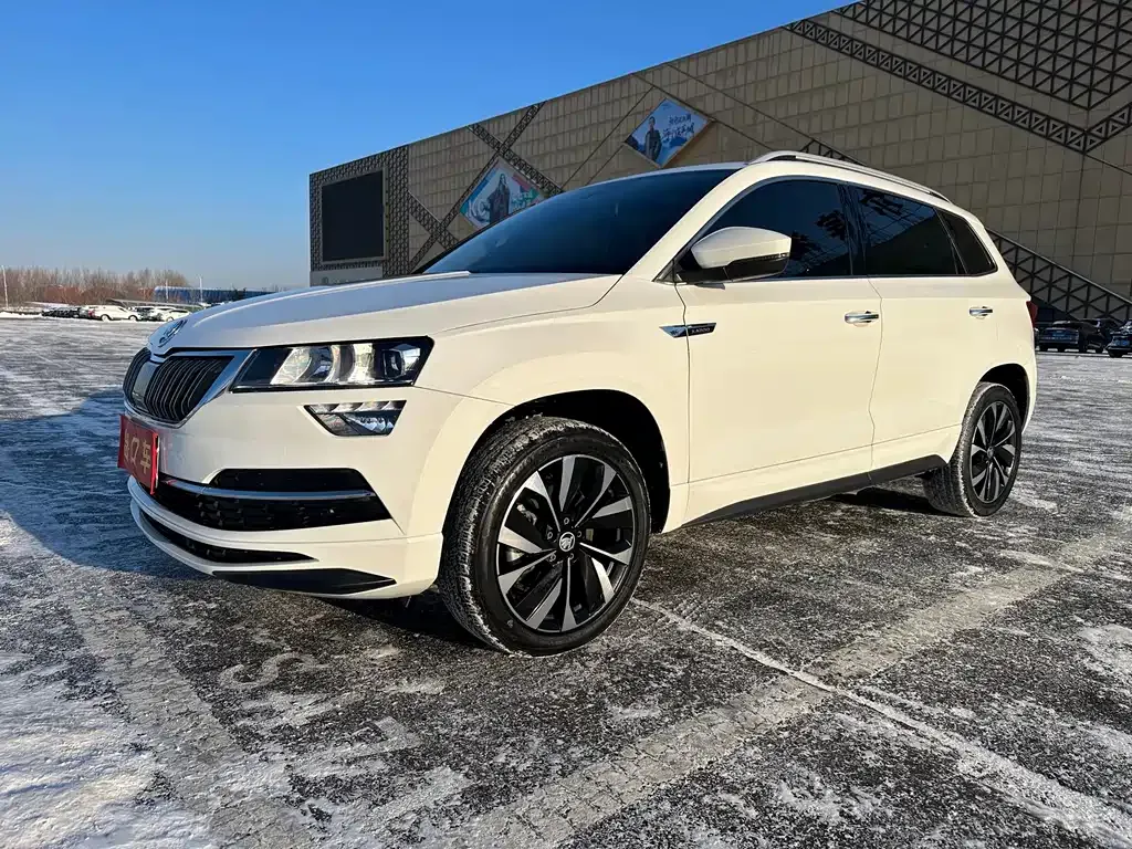 Skoda Karoq 2022 из CN, фото 1