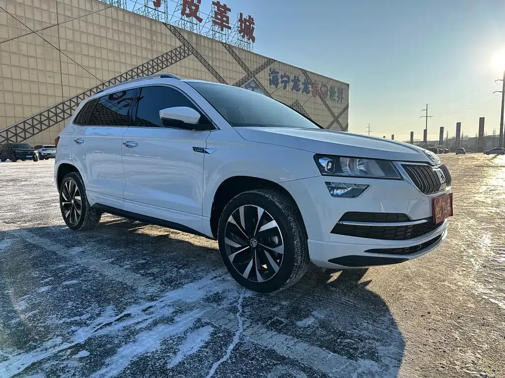 Skoda Karoq 2022 из CN, фото 9