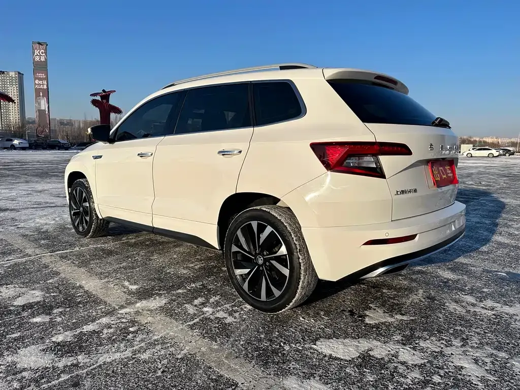 Skoda Karoq 2022 из CN, фото 6