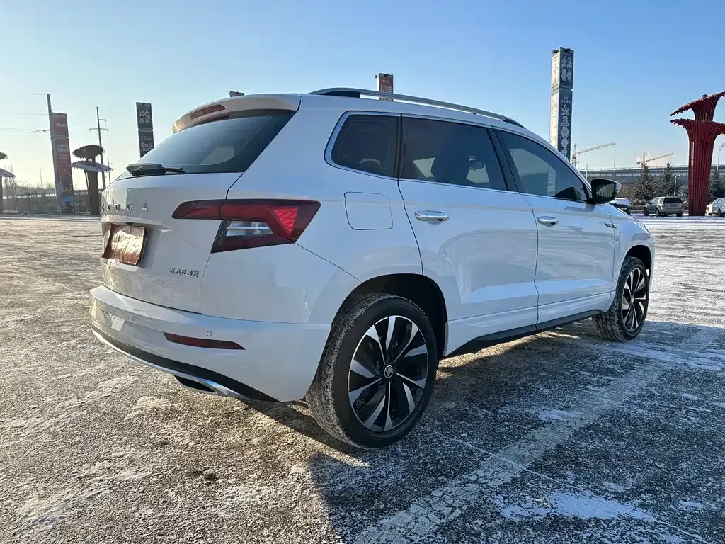 Skoda Karoq 2022 из CN, фото 7