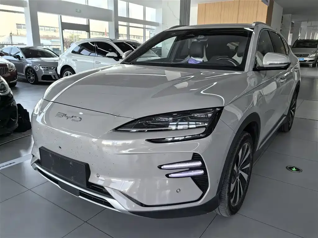 BYD PLUS New Energy 2023 из CN, фото 2