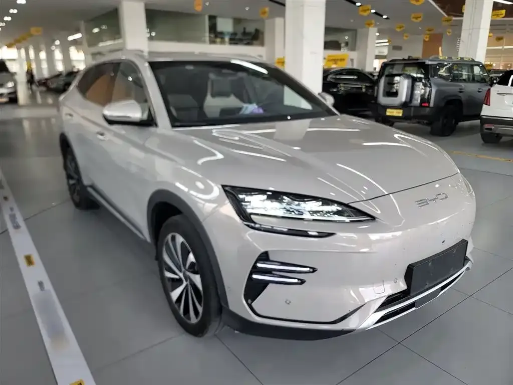 BYD PLUS New Energy 2023 из CN, фото 4