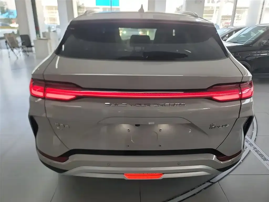 BYD PLUS New Energy 2023 из CN, фото 6