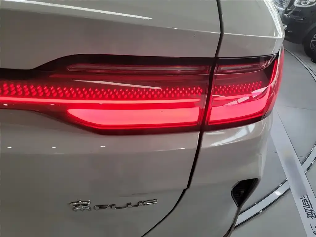 BYD PLUS New Energy 2023 из CN, фото 8