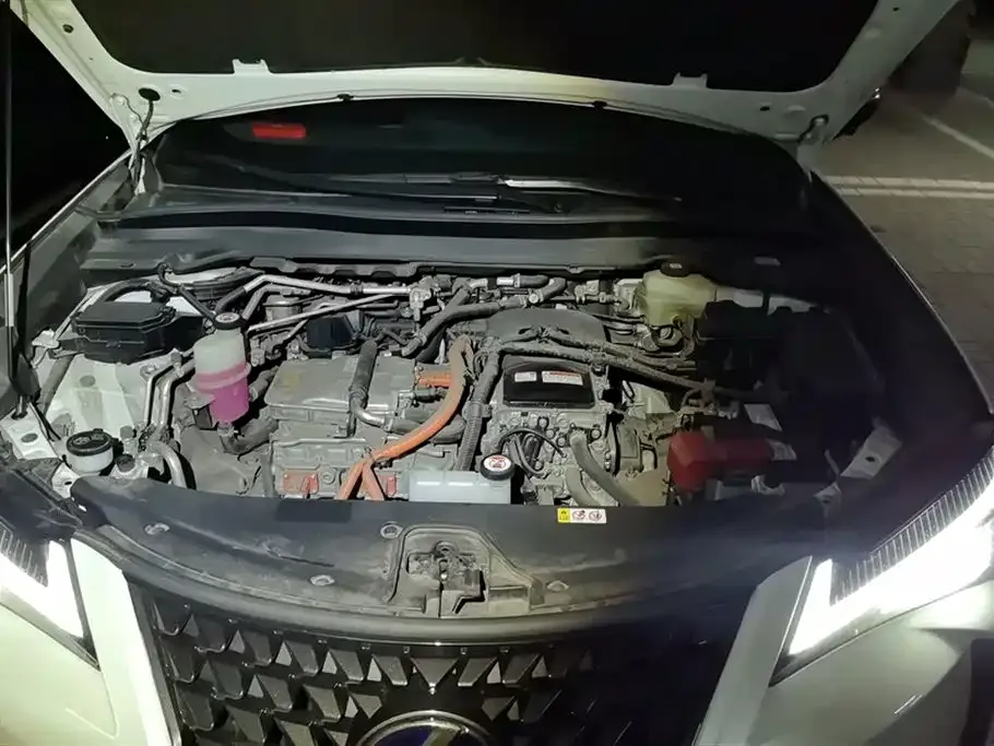 Lexus UX New Energy 2021 из CN, фото 9