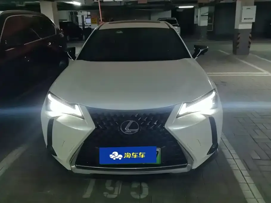 Lexus UX New Energy 2021 из CN, фото 10