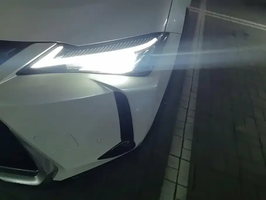 Lexus UX New Energy 2021 из CN, фото 2