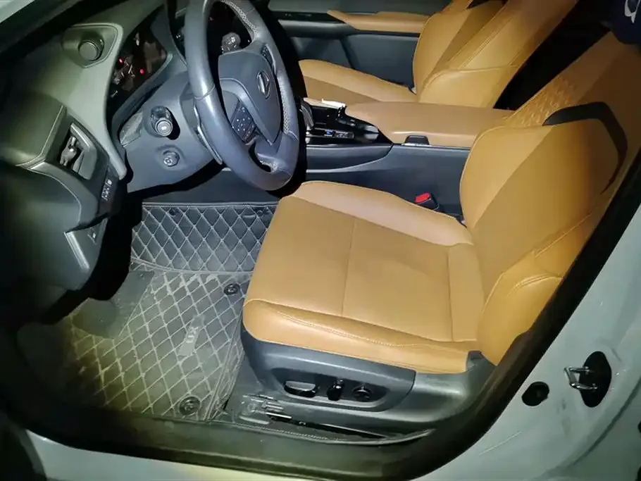 Lexus UX New Energy 2021 из CN, фото 5