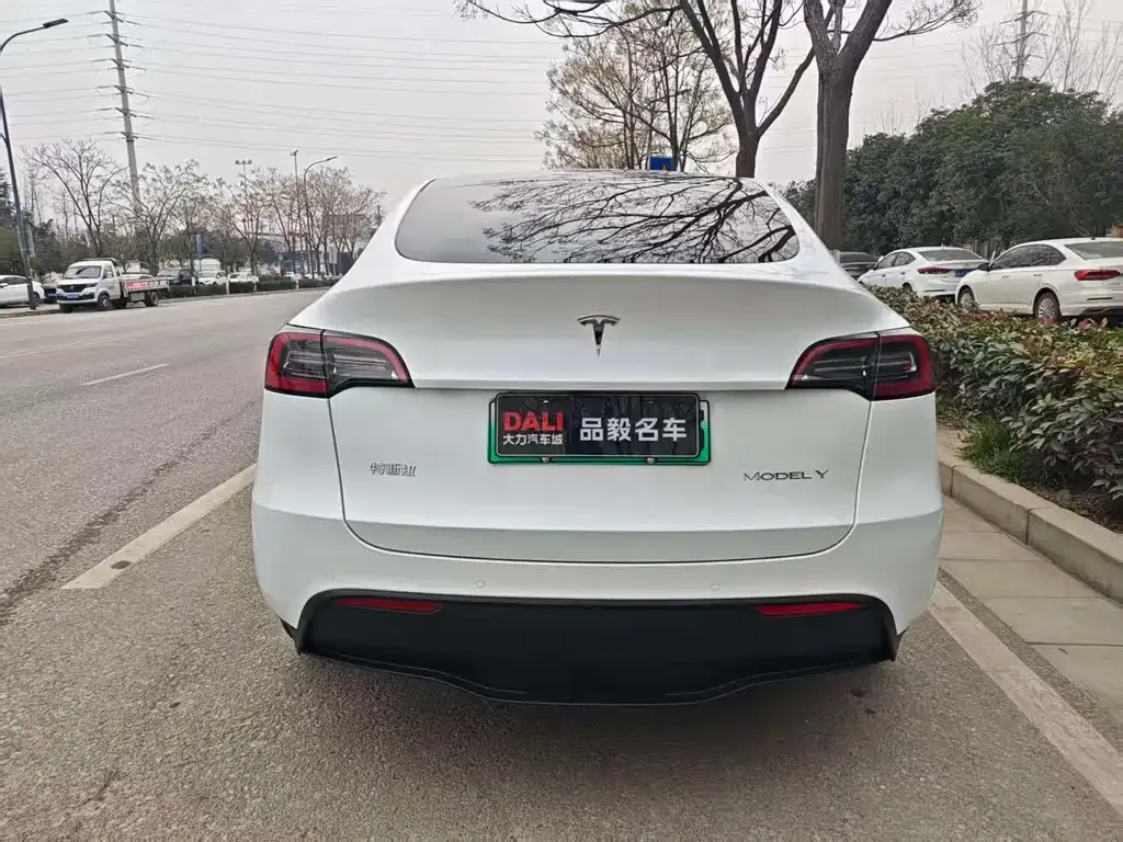 Tesla Model Y 2023 из CN, фото 5