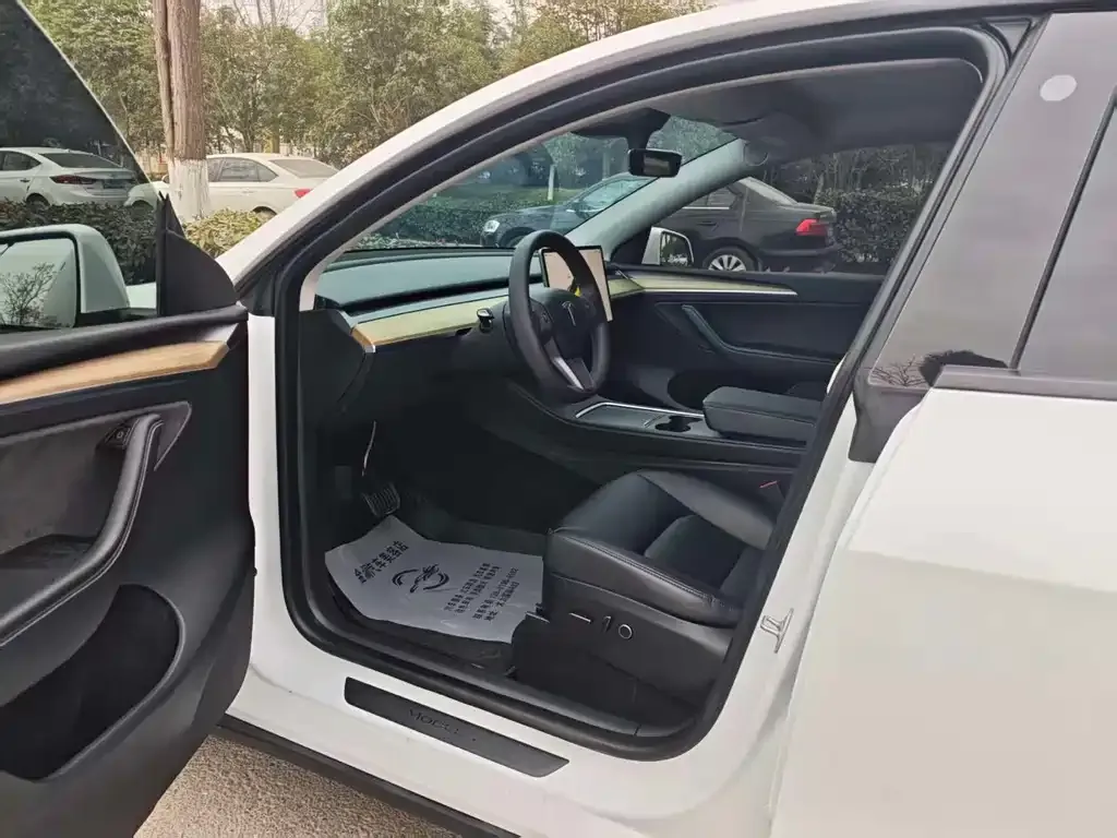 Tesla Model Y 2023 из CN, фото 9