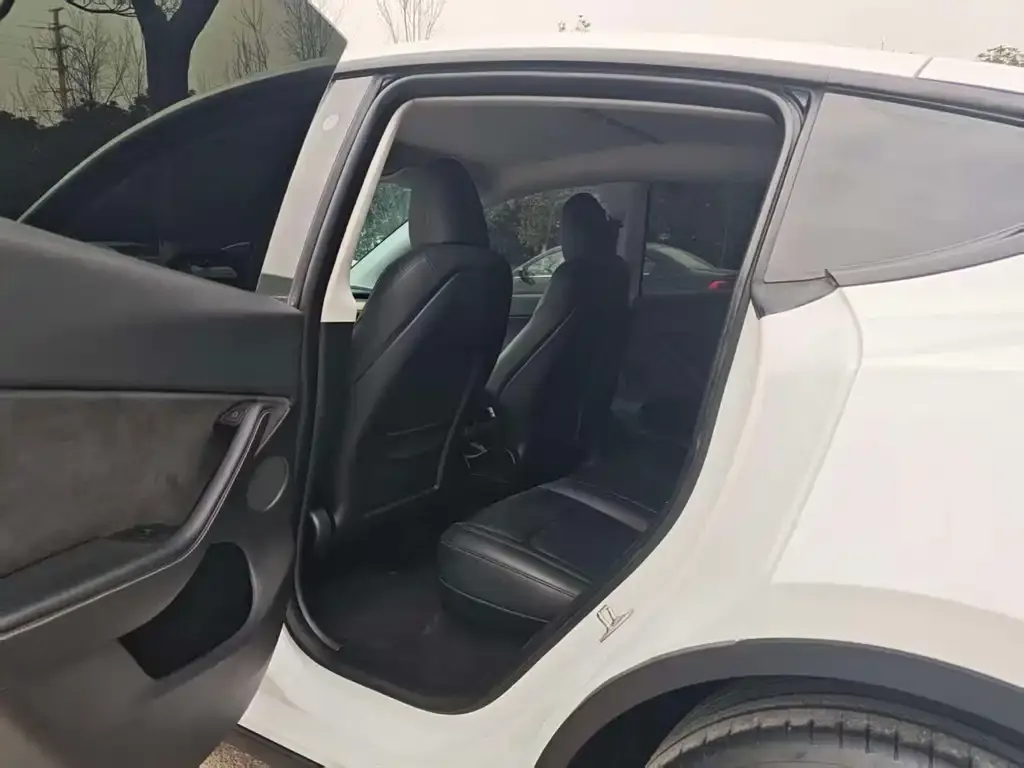 Tesla Model Y 2023 из CN, фото 8