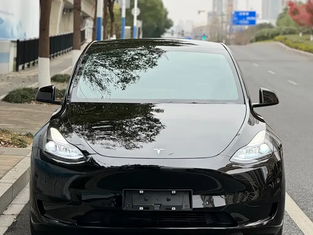 Tesla Model Y 2023 из CN, фото 10