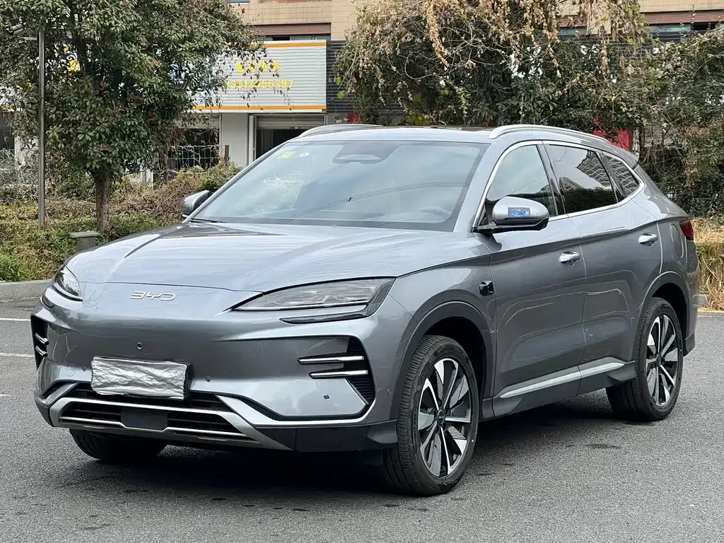 BYD PLUS New Energy — фото 1