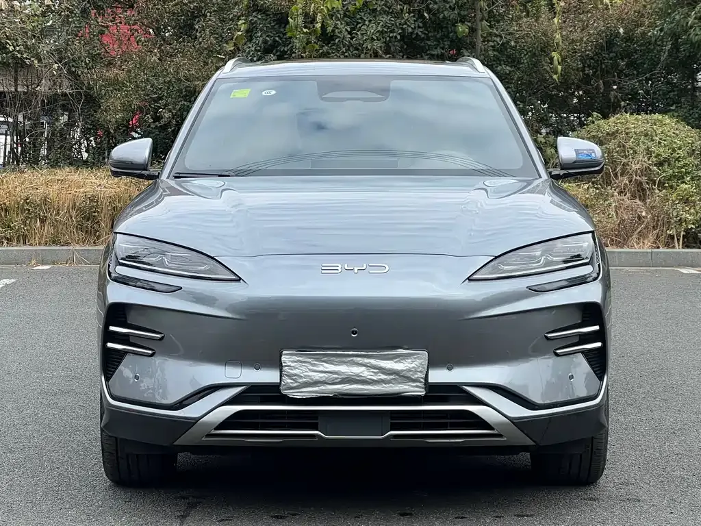 BYD PLUS New Energy — фото 4