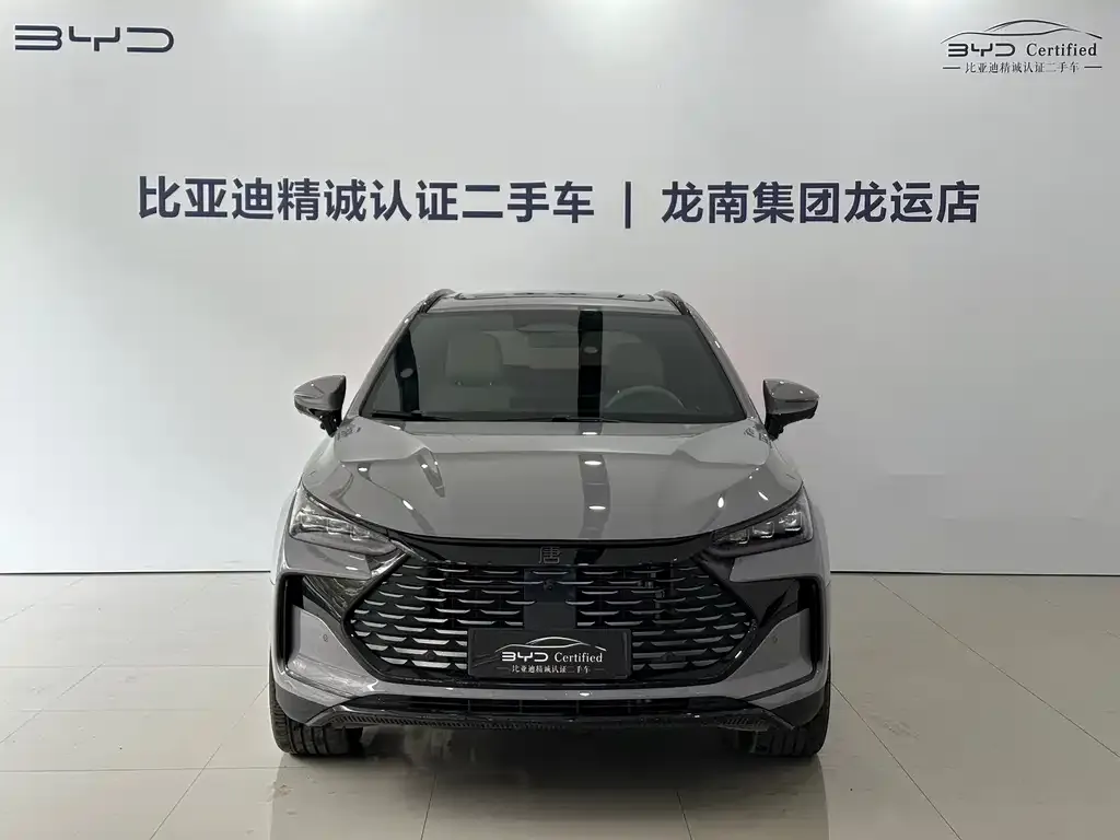 BYD Tang New Energy 2025 из CN, фото 2