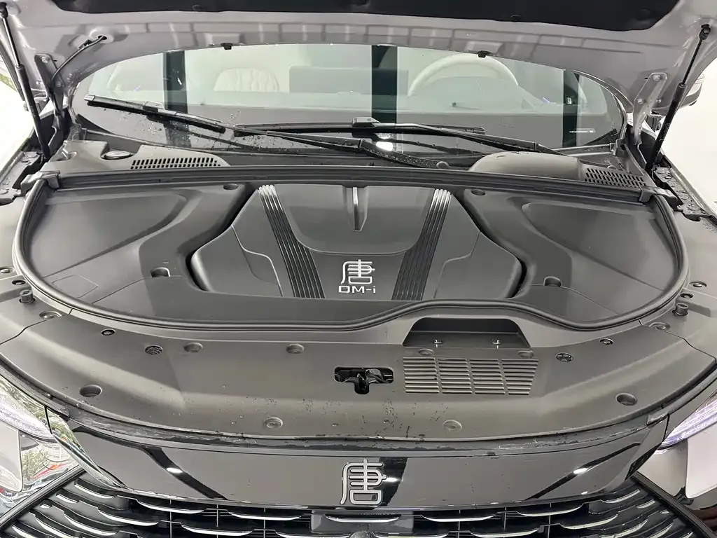 BYD Tang New Energy 2025 из CN, фото 4