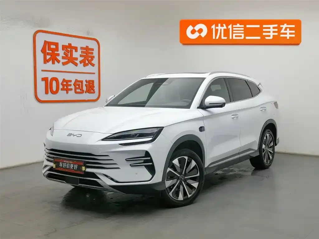 BYD PLUS New Energy 2025 из CN, фото 1